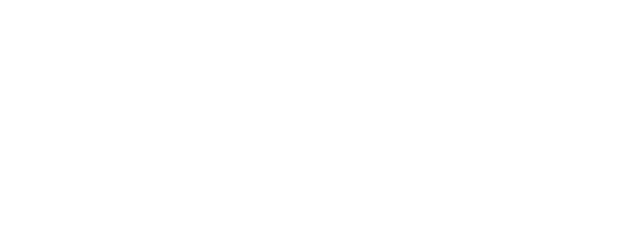 Rose Wood Aircraft Completions